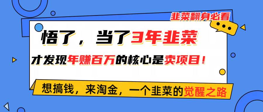 悟了，当了3年韭菜，才发现网赚圈年赚100万的核心是卖项目，含泪分享！-辰阳网创