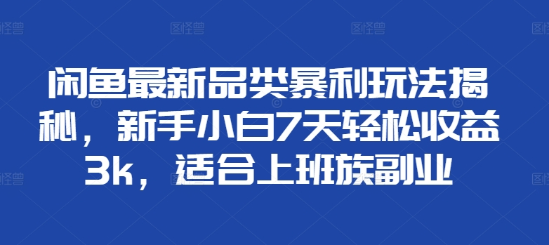 闲鱼最新品类暴利玩法揭秘，新手小白7天轻松赚3000+，适合上班族副业-辰阳网创