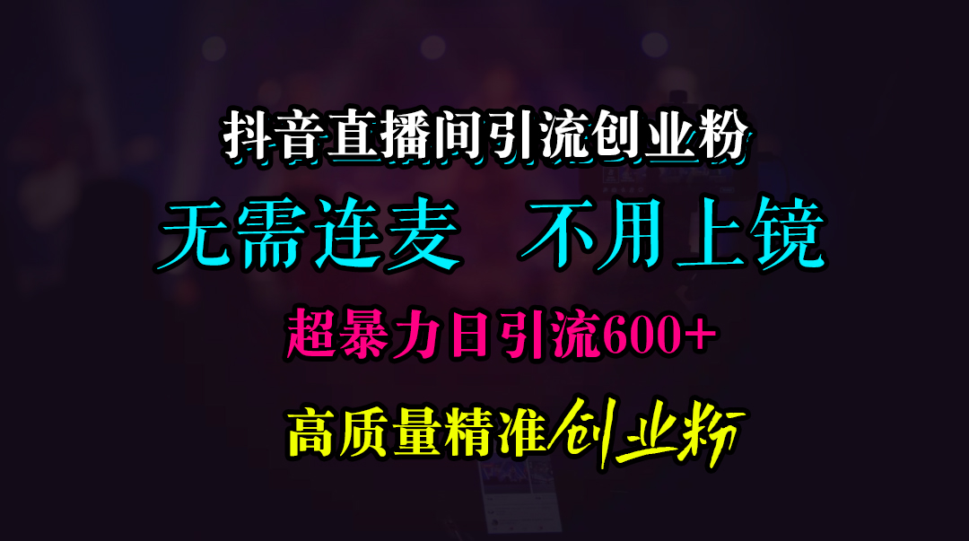 抖音直播间引流创业粉，无需连麦、无需上镜，超暴力日引流600+高质量精准创业粉-辰阳网创