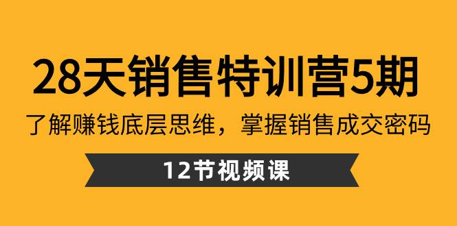 28天·销售特训营5期：了解赚钱底层思维，掌握销售成交密码（12节课）-辰阳网创