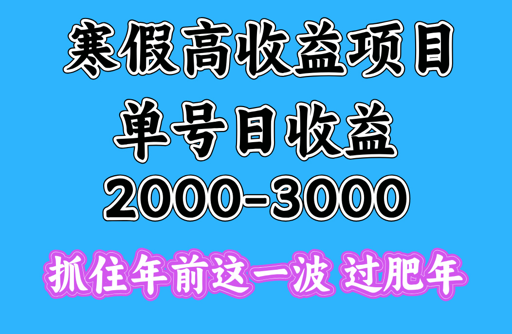 寒假期间一天收益2000-3000+，抓住年前这一波-辰阳网创