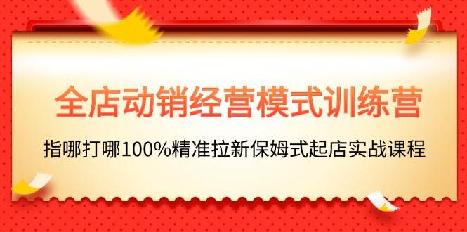 全店动销-经营模式训练营，指哪打哪100%精准拉新保姆式起店实战课程-辰阳网创