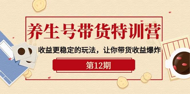 养生号带货特训营【12期】收益更稳定的玩法，让你带货收益爆炸-9节直播课-辰阳网创