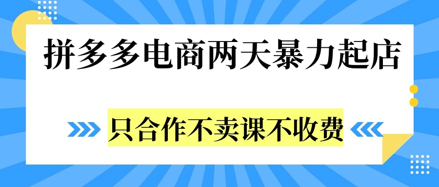 拼多多两天暴力起店，只合作不卖课不收费-辰阳网创