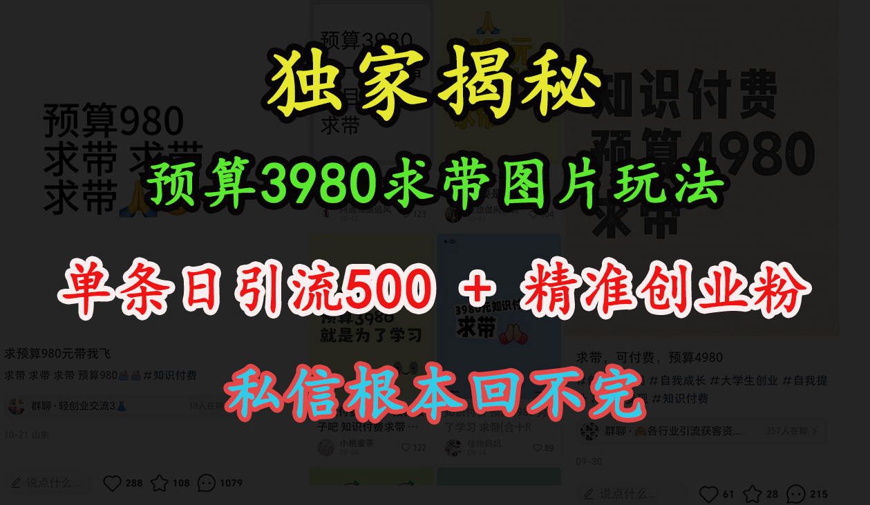 “小红书”预算3980求带 图片玩法，单条日引流500+精准创业粉，私信根本回不完-辰阳网创