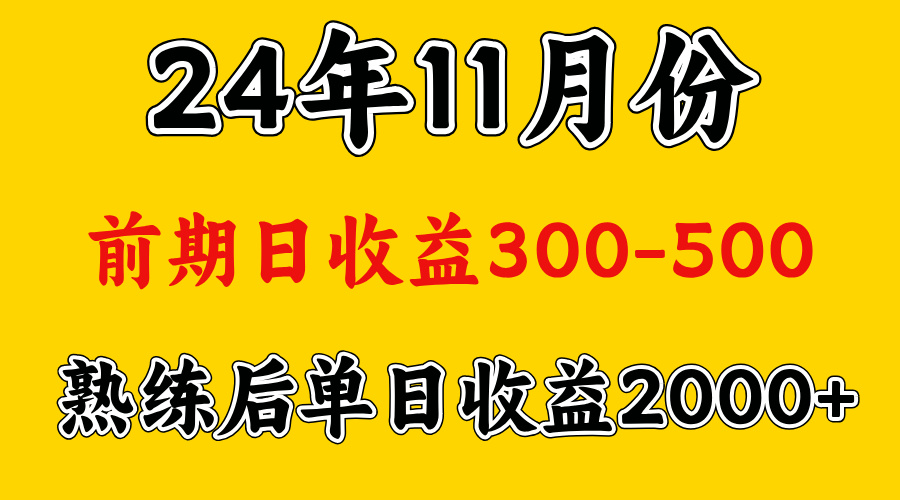 轻资产项目，前期日收益500左右，后期日收益1500-2000左右，多劳多得-辰阳网创