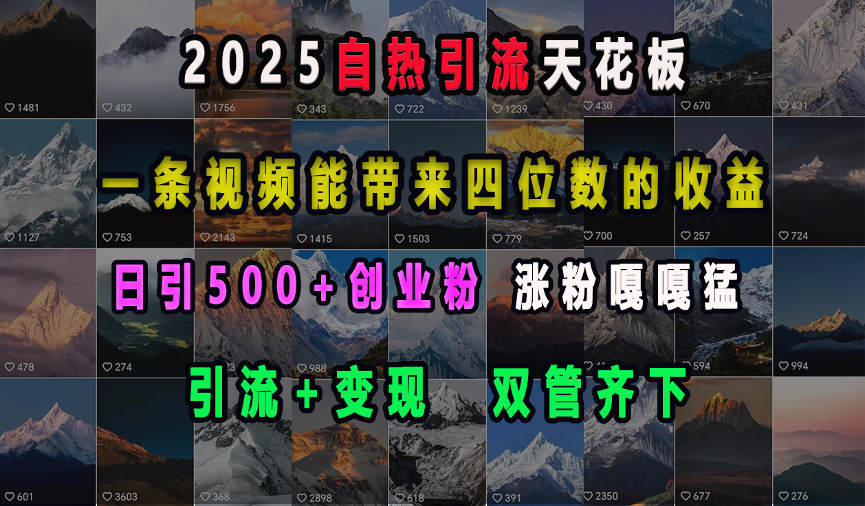 2025自热引流天花板，一条视频能带来四位数的收益，引流+变现双管齐下，日引500+创业粉，涨粉嘎嘎猛-辰阳网创