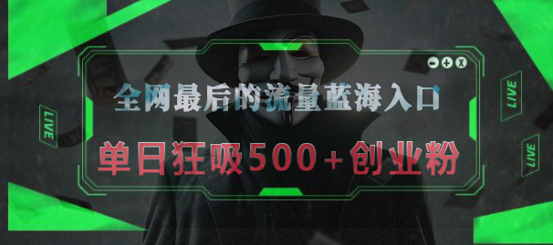 全网最后的流量蓝海入口，半小时引流50+创业粉，单日狂吸500+创业粉-辰阳网创