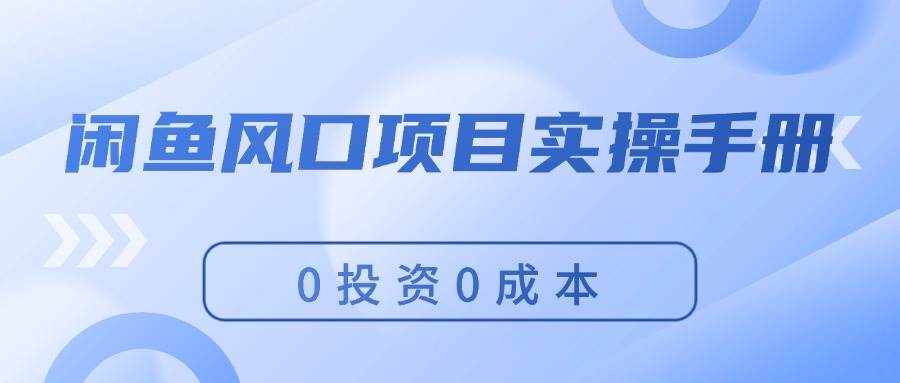 闲鱼风口项目实操手册，0投资0成本，让你做到，月入过万，新手可做-辰阳网创