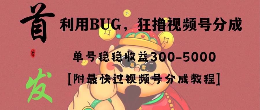 全网独家首发，视频号BUG，超短期项目，单号每日净收益300-5000！-辰阳网创