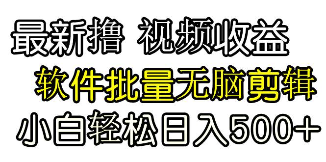 发视频撸收益，软件无脑批量剪辑，第一天发第二天就有钱-辰阳网创