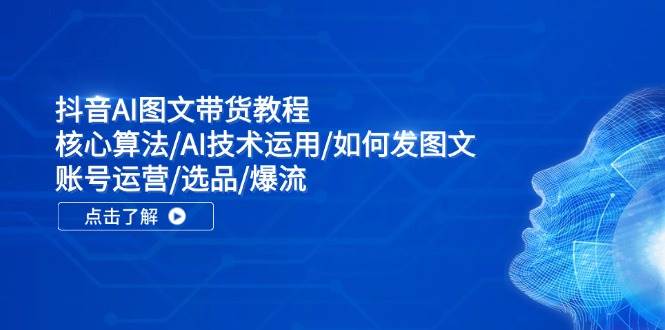 抖音AI图文带货教程：核心算法/AI技术运用/如何发图文/账号运营/选品/爆流-辰阳网创