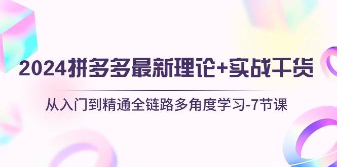 2024拼多多 最新理论+实战干货，从入门到精通全链路多角度学习-7节课-辰阳网创