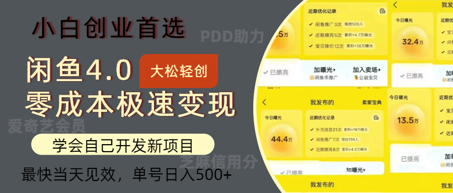 闲鱼0成本极速变现项目，多种变现方式，单号日入500+最新玩法-辰阳网创