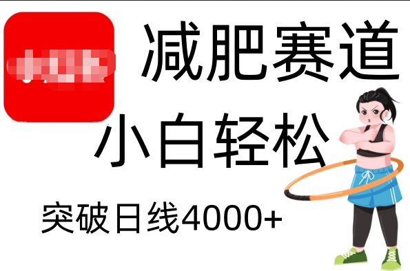 小红书减肥赛道，小白轻松日利润4000+-辰阳网创