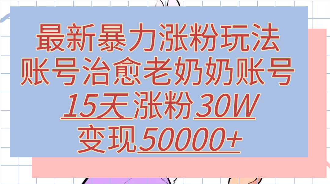 最新暴力涨粉玩法，治愈老奶奶账号，15天涨粉30W，变现50000+【揭秘】-辰阳网创