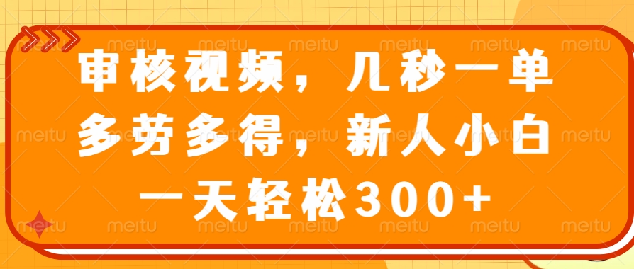 审核视频项目，几秒一单，多劳多得，新人小白一天轻松300+-辰阳网创