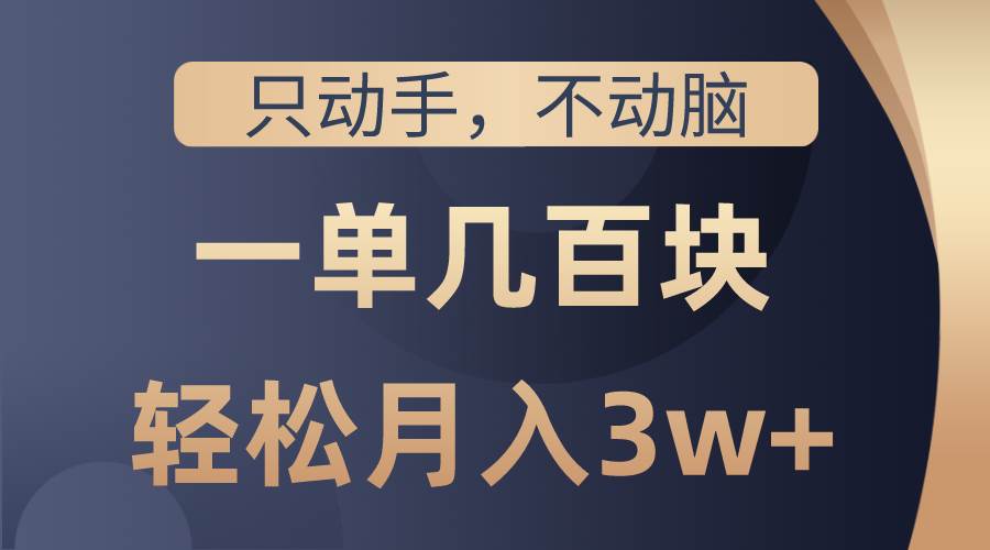 只动手不动脑，一单几百块，轻松月入3w+，看完就能直接操作，详细教程-辰阳网创