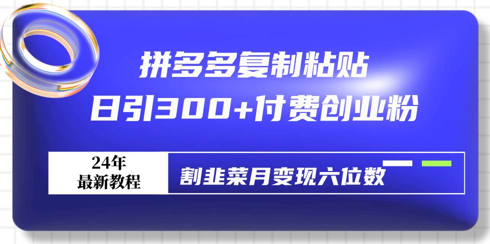 拼多多复制粘贴日引300+付费创业粉，割韭菜月变现六位数最新教程！-辰阳网创