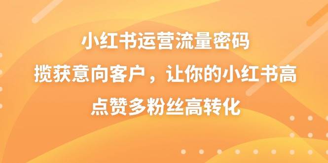 小红书运营流量密码，揽获意向客户，让你的小红书高点赞多粉丝高转化-辰阳网创