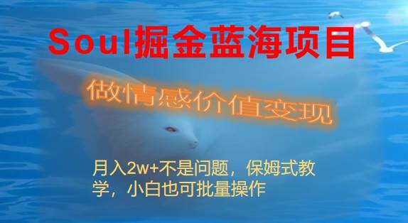 Soul掘金蓝海项目细分赛道，做情感价值变现，月入2w+不是问题-辰阳网创