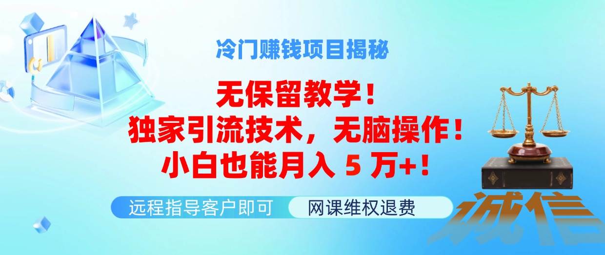 冷门赚钱项目无保留教学！独家引流技术，无脑操作！小白也能月入5万+！-辰阳网创