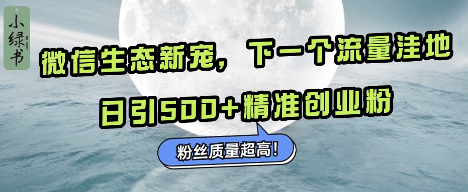 微信生态新宠小绿书：下一个流量洼地，粉丝质量超高，日引500+精准创业粉，-辰阳网创