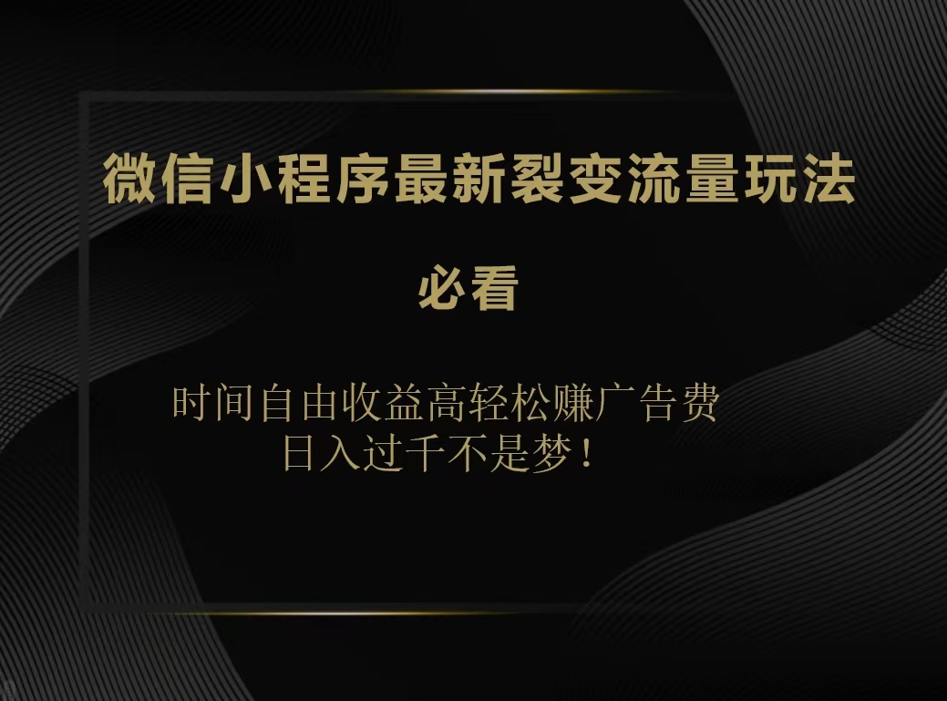 微信小程序最新裂变流量玩法，时间自由收益高轻松赚广告费，日入200-500+-辰阳网创