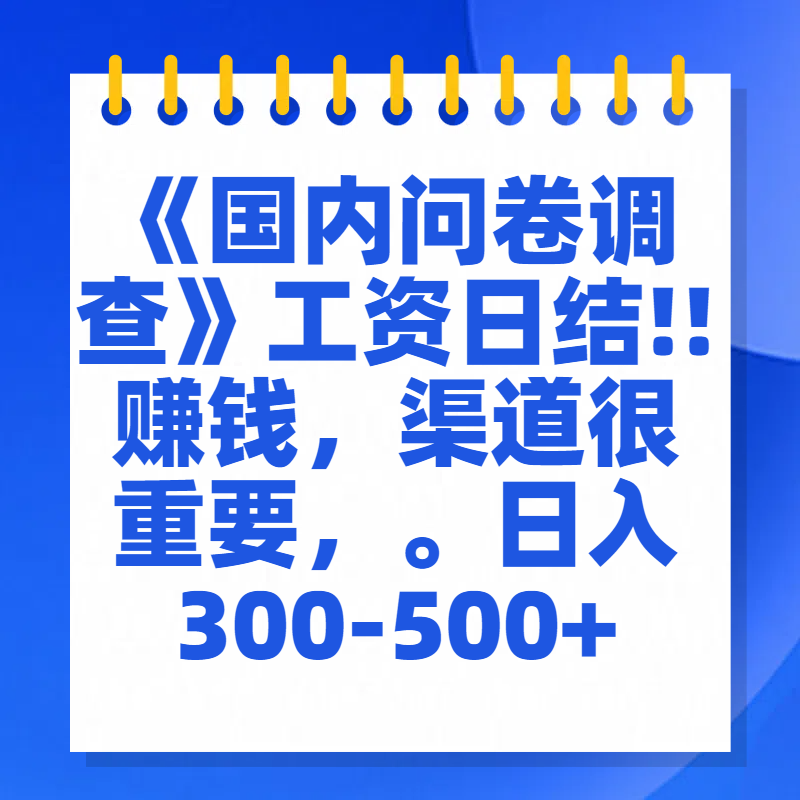 问卷调查答题，一个人在家也可以闷声发大财，小白一天2张，【揭秘】-辰阳网创