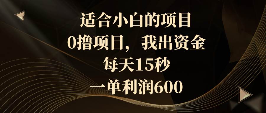 适合小白的项目，0撸项目，我出资金，每天15秒，一单利润600-辰阳网创