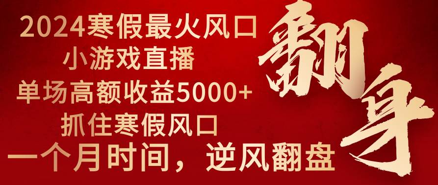 2024年最火寒假风口项目 小游戏直播 单场收益5000+抓住风口 一个月直接提车-辰阳网创