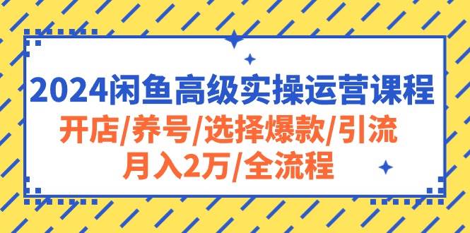 2024闲鱼高级实操运营课程：开店/养号/选择爆款/引流/月入2万/全流程-辰阳网创