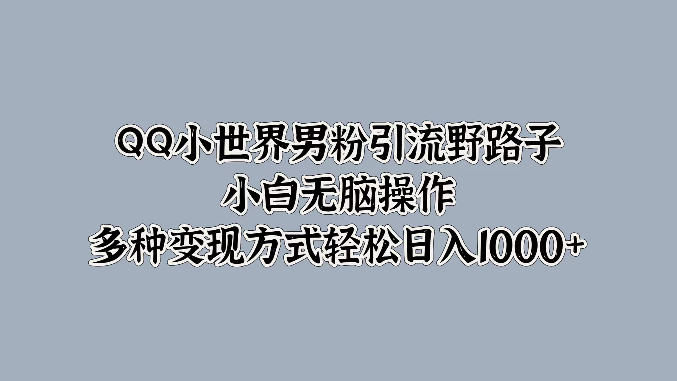 QQ小世界男粉引流野路子，小白无脑操作，多种变现方式轻松日入1000+-辰阳网创