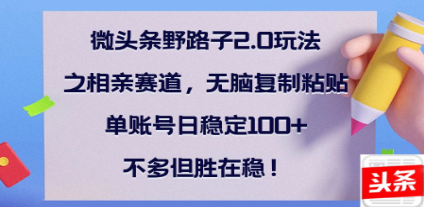 全网首发微头条野路子2.0玩法之相亲赛道，无脑搬砖复制粘贴，单账号日稳定300+保姆级教程-辰阳网创