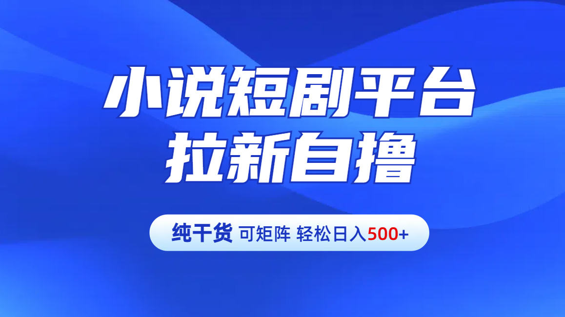 【纯干货】小说短剧平台拉新自撸玩法详解-单人轻松日入500+-辰阳网创