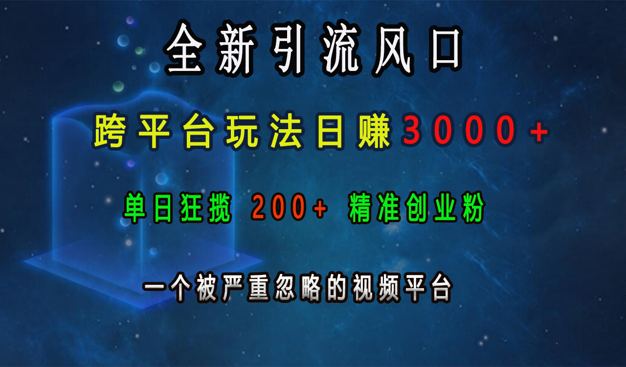 全新引流风口，跨平台玩法日赚3000+，单日狂揽200+精准创业粉，一个被严重忽略的视频平台-辰阳网创