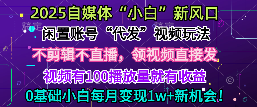 2025每月躺赚5w+新机会，闲置视频账号一键代发玩法，0粉不实名不剪辑，领了视频直接发，0基础小白也能日入300+-辰阳网创