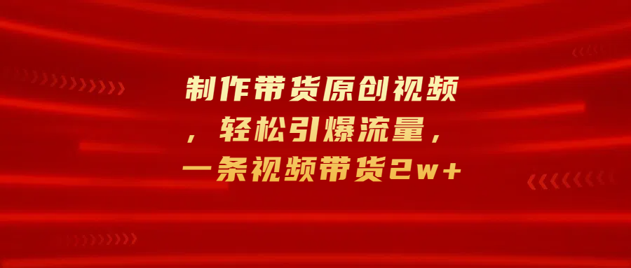 制作带货原创视频，轻松引爆流量，一条视频带货2w+-辰阳网创