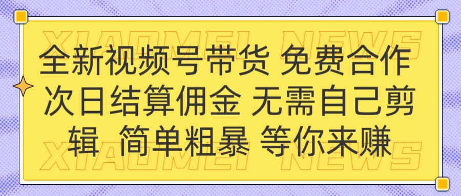 全新视频号 免费合作 佣金次日结算 无需自己剪辑-辰阳网创