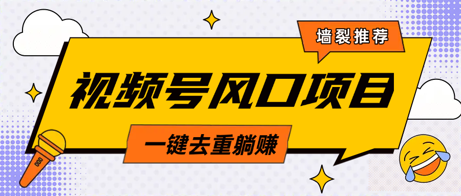 视频号风口蓝海项目，中老年人的流量密码，简单无脑，一键去重，轻松月入过万-辰阳网创