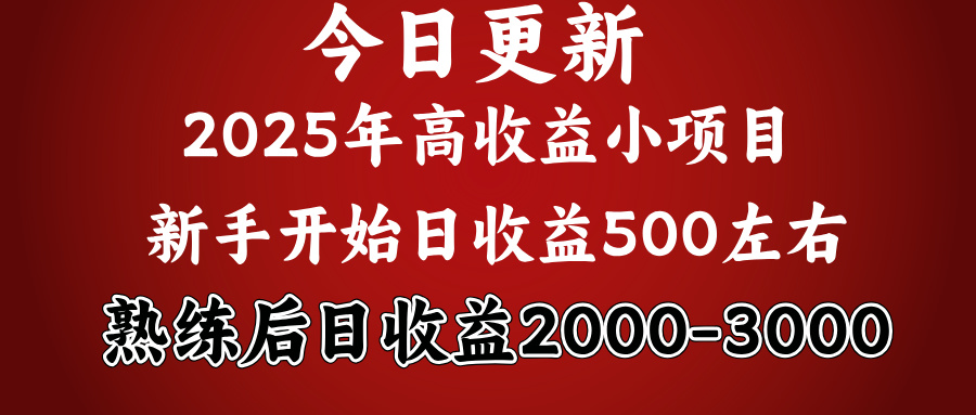 2025开年好项目，新手日收益500+ 熟练掌握后，日收益平均2000多-辰阳网创