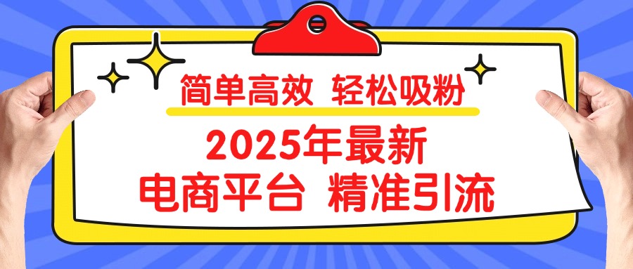 2025年最新电商平台精准引流 简单高效 轻松吸粉-辰阳网创