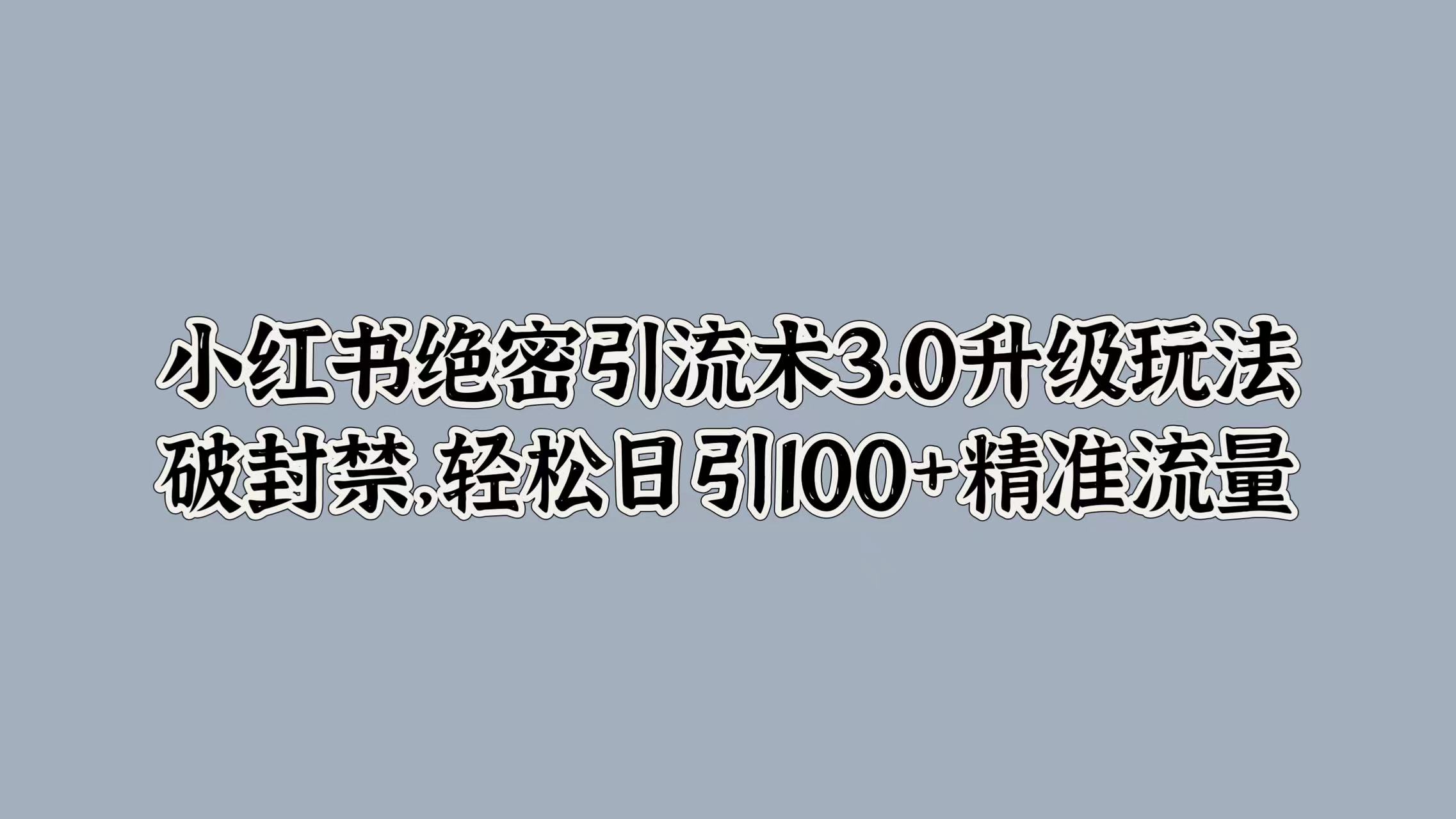 小红书绝密引流术3.0升级玩法，破封禁，轻松日引100+精准流量-辰阳网创