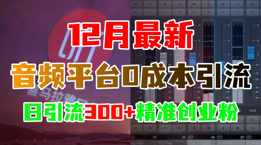 12月最新：音频平台0成本引流，日引300+精准创业粉-辰阳网创