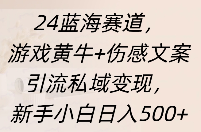 24蓝海赛道，游戏黄牛+伤感文案引流私域变现，新手日入500+-辰阳网创