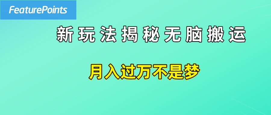 简单操作，每天50美元收入，搬运就是赚钱的秘诀！-辰阳网创