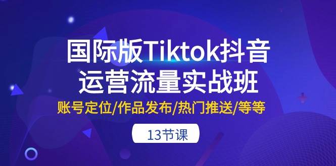 国际版Tiktok抖音运营流量实战班：账号定位/作品发布/热门推送/等等-13节-辰阳网创