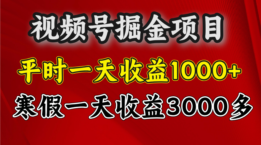 视频号掘金项目，寒假一天收益3000多-辰阳网创