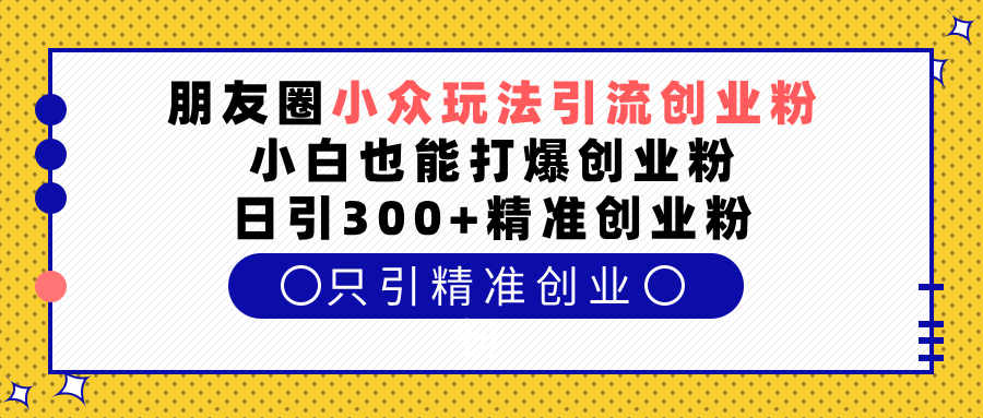 朋友圈小众玩法引流创业粉，小白也能打爆创业粉，日引300+精准创业粉-辰阳网创