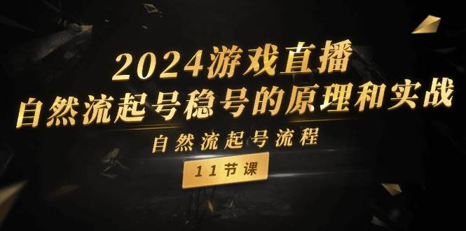 2024游戏直播-自然流起号稳号的原理和实战，自然流起号流程（11节）-辰阳网创